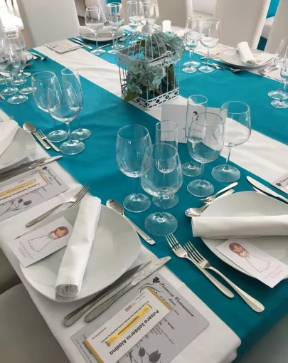 Sercotel Plana Parc