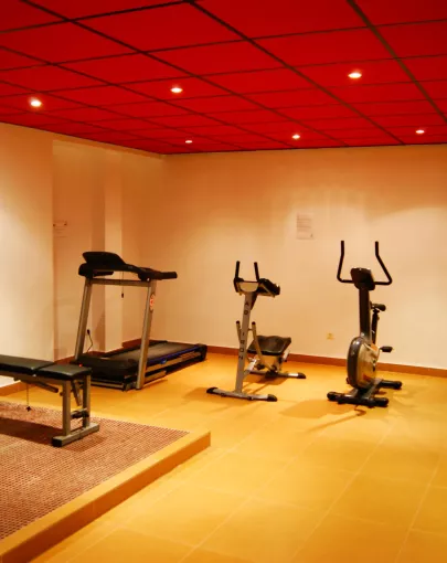 Sercotel Plana Parc