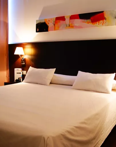 Sercotel Plana Parc