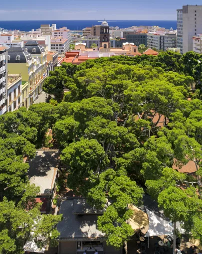 Sercotel Príncipe Paz