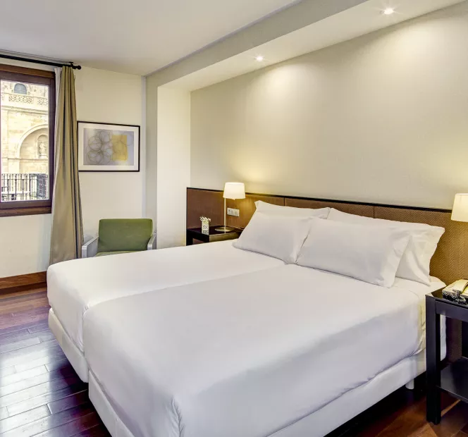 Sercotel Puerta De La Catedral-Classic Twin Room Street View