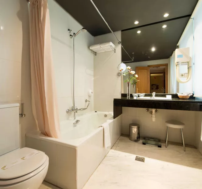 Sercotel Felipe IV - Habitación Clásica - Galería