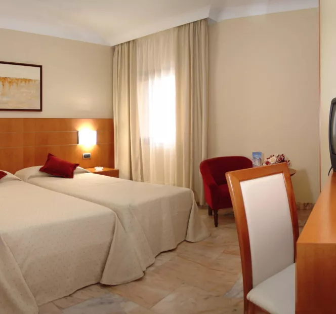 Sercotel Príncipe Paz Habitación Básica