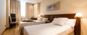 Sercotel Felipe IV Habitación Clásica