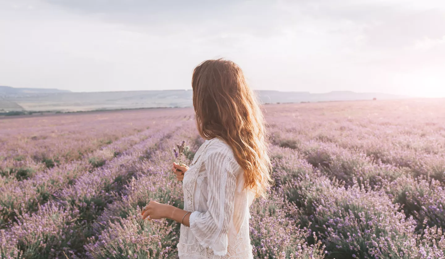 primavera