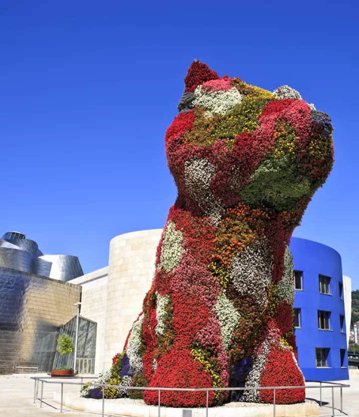 museo guggenheim