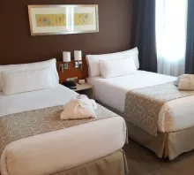 Sercotel Alcala 611-Classic Twin Room