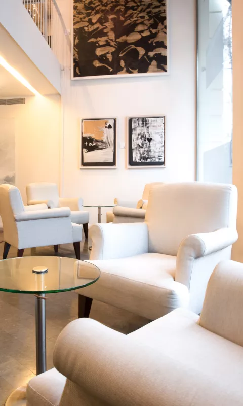Sercotel Ámister Art - Salón social