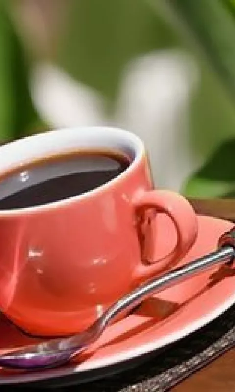 Cafetería